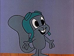 Rocky_the_flying_squirrel